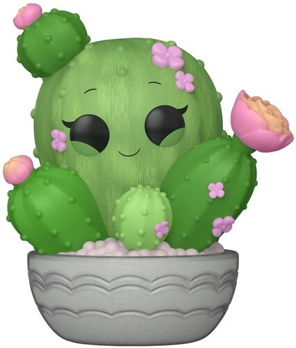 Funko POP! Plants: Flora - Barrel Cactus [Used Very Good Toy] Action Figure, C