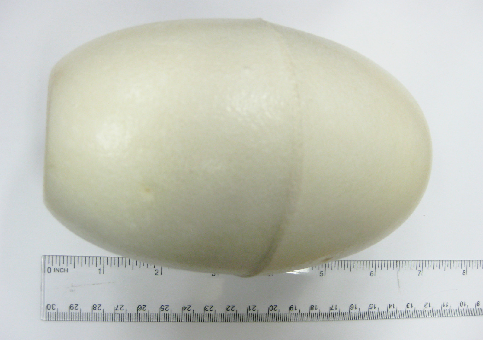6" floats for Crabbing and Prawning (6"x3.5")