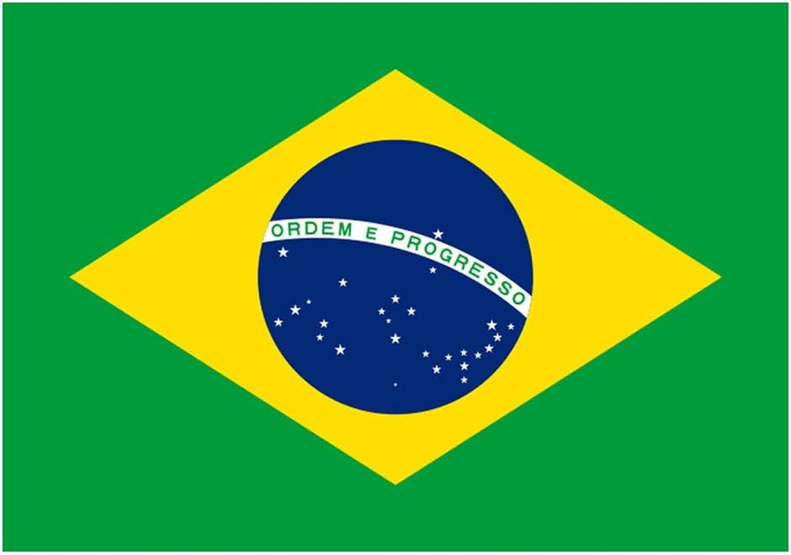 Set of 5 Brazilian Flag Iron on Screen Print Fabric Applique Machine Washable Tr