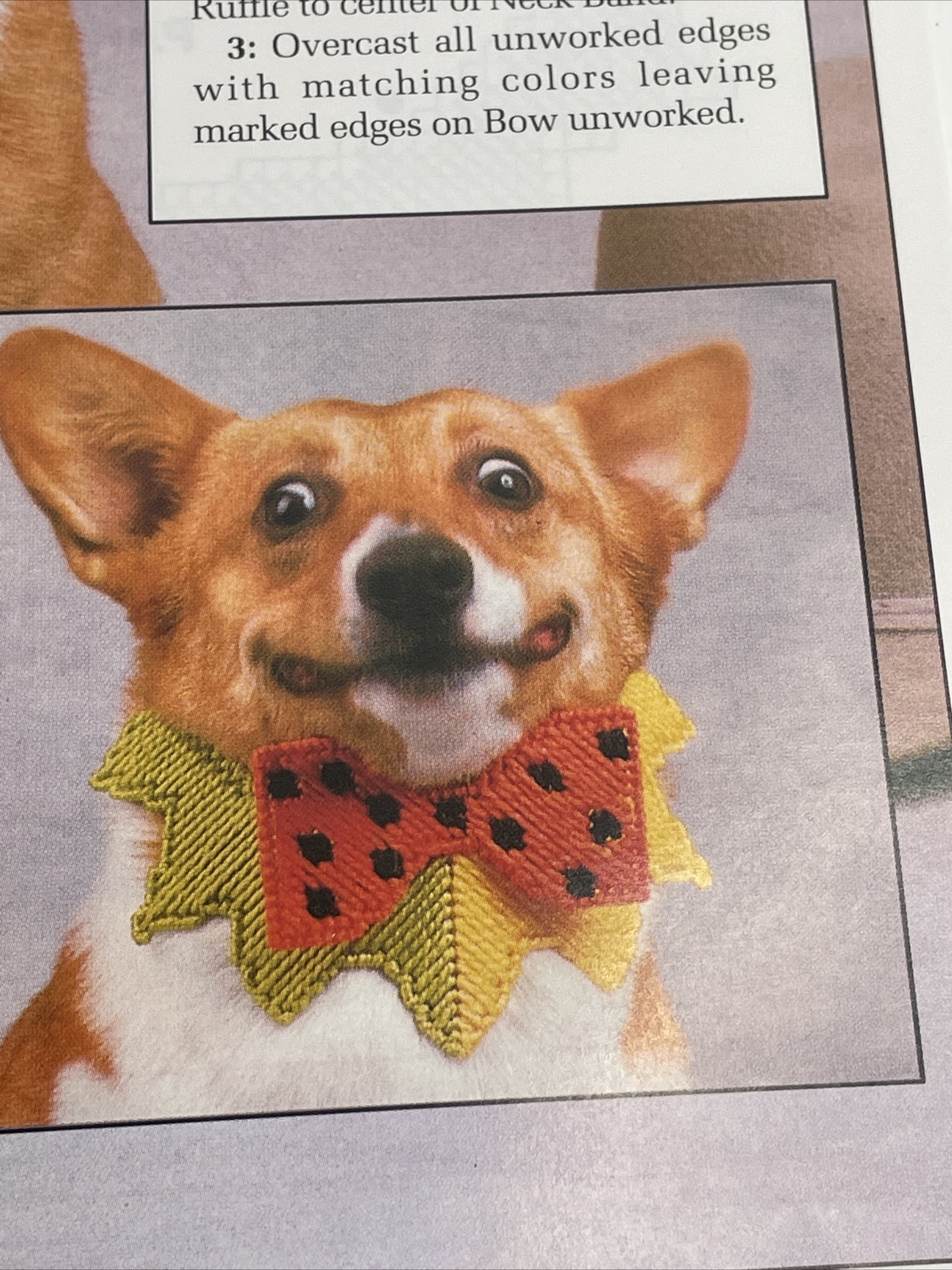 Annie's Attic Pet Collars Western & Bow Plastic Canvas Pattern