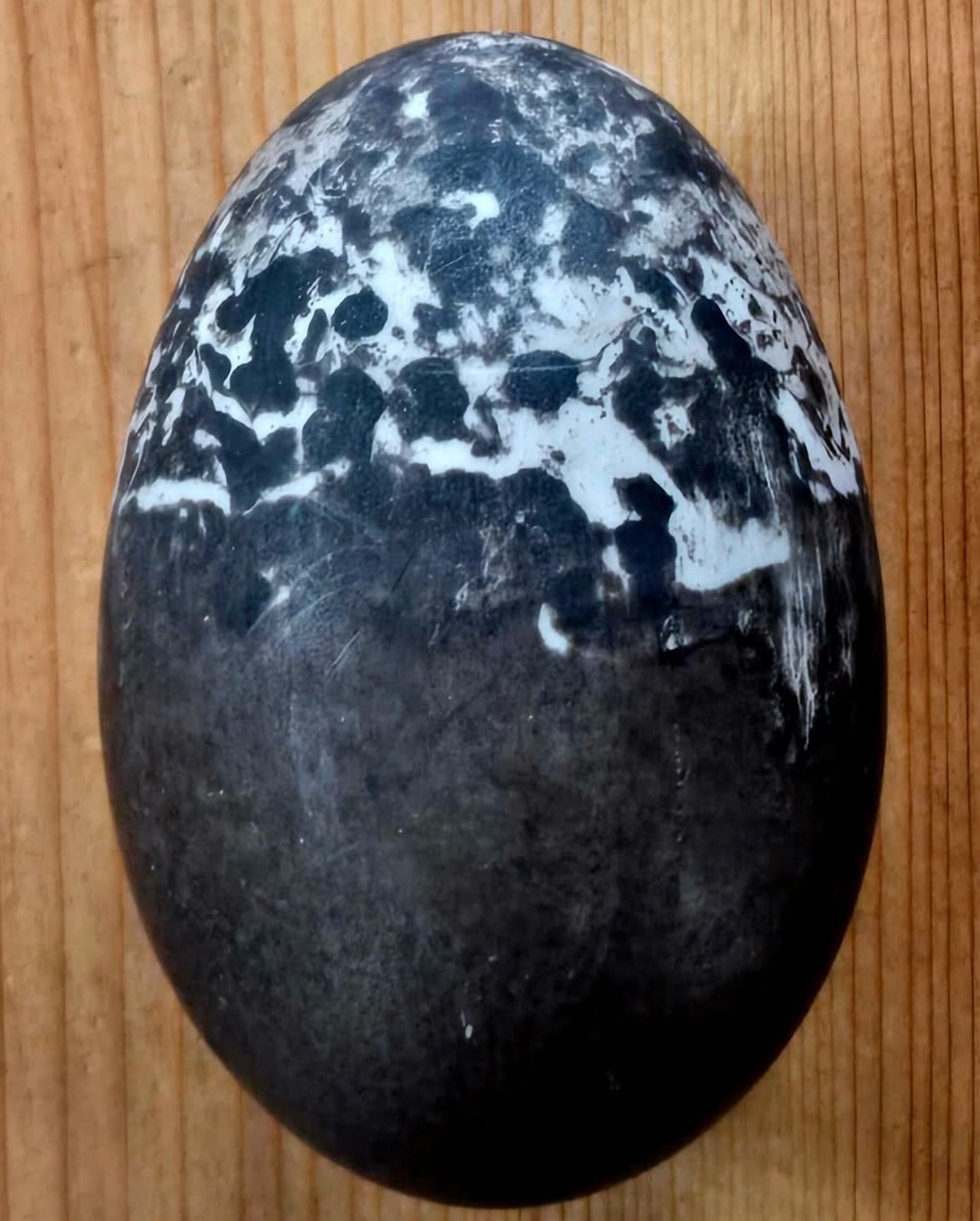 6 Duck Hatching Eggs- Domestic Barnyard Mix