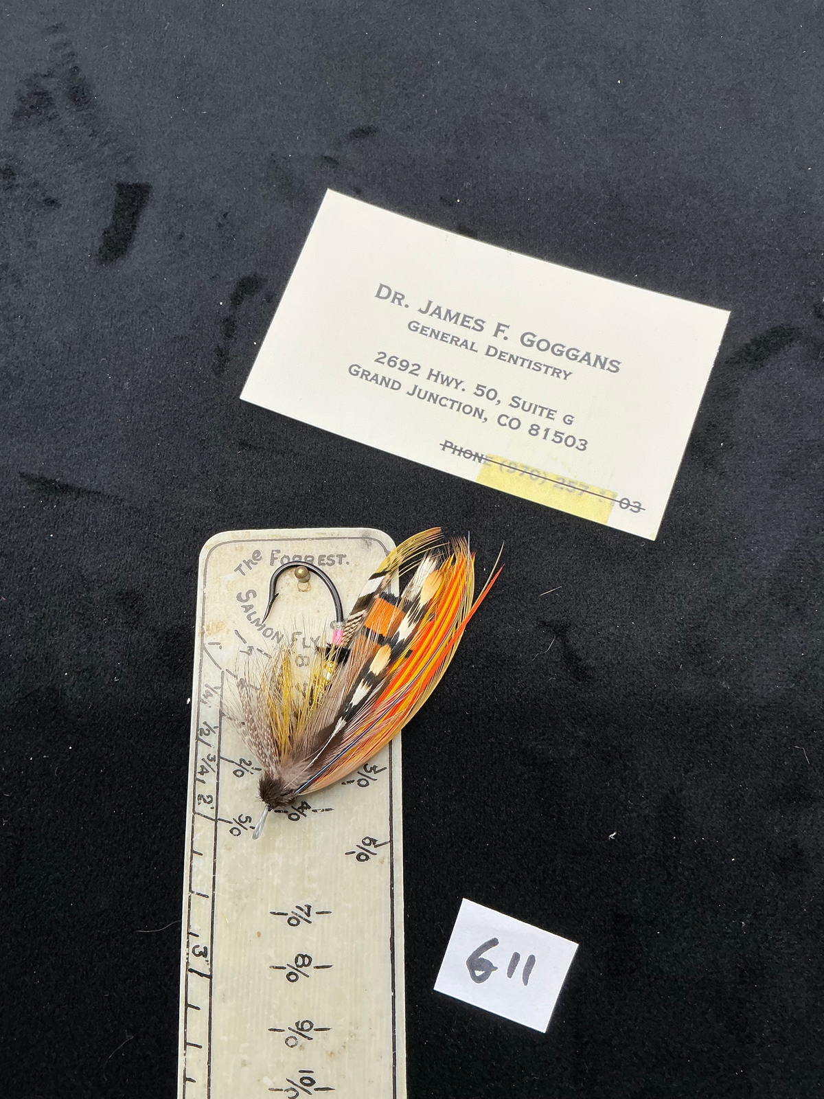 Dr. James Goggans  Salmon Fly G11