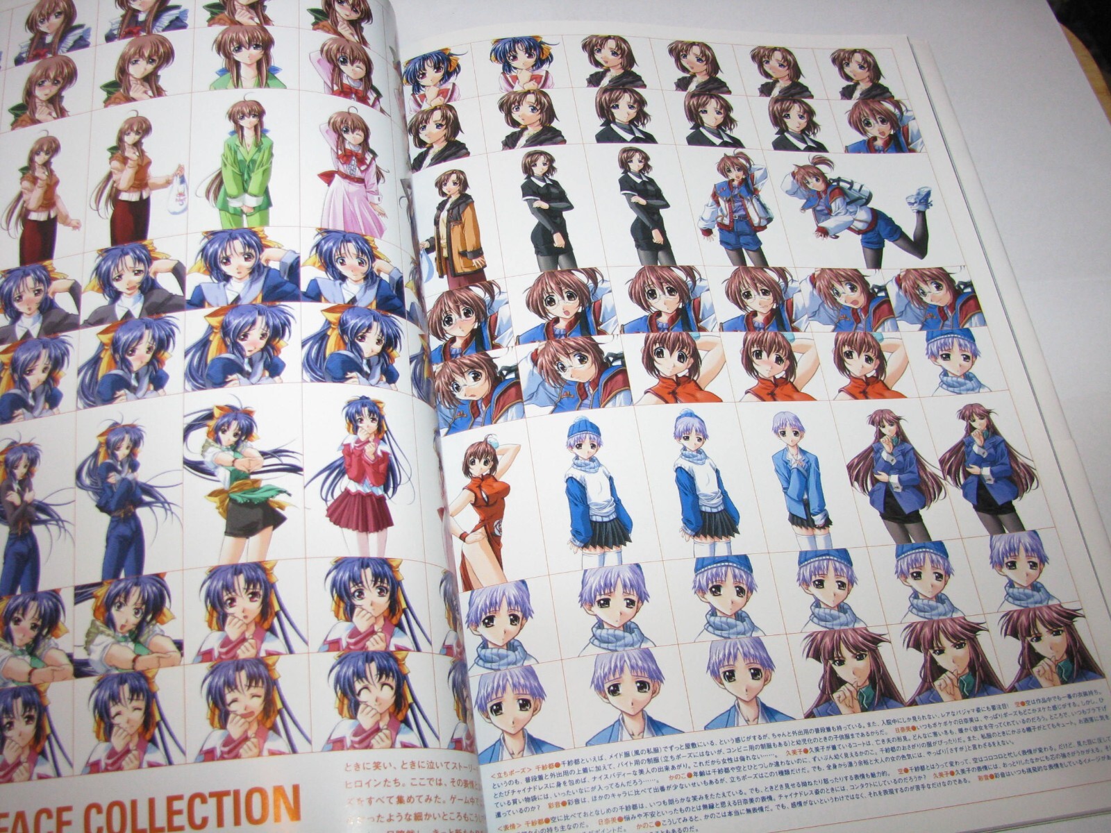 Natural2 Duo PC Windows Official Visual Fan Book Guide Japan import US Seller