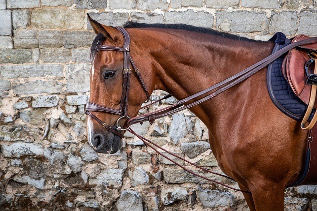 Dyon Leather Rope Draw Reins