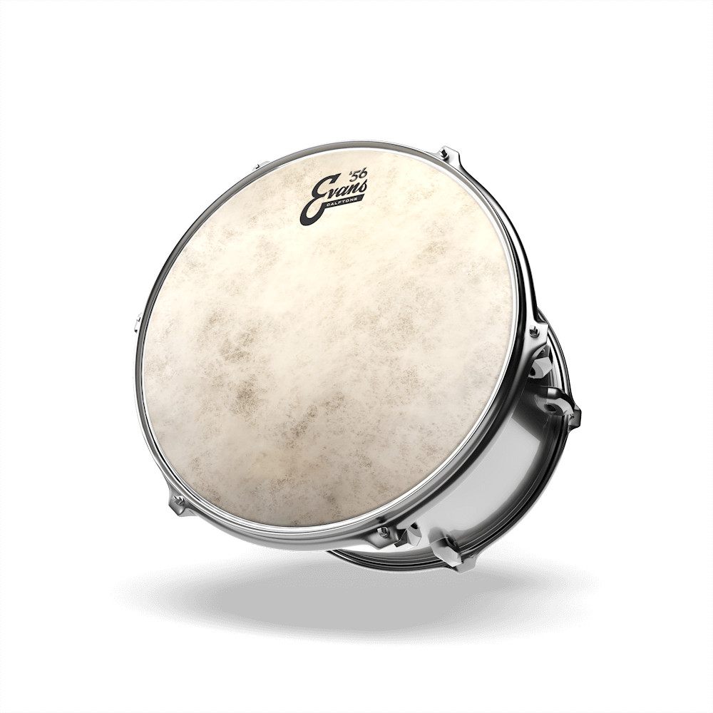 Evans Calftone 57 Drum Head 8"