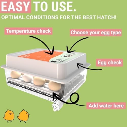 Egg Incubator for Hatching - 36 Eggs - Stable Temperature & Humidity Control wit