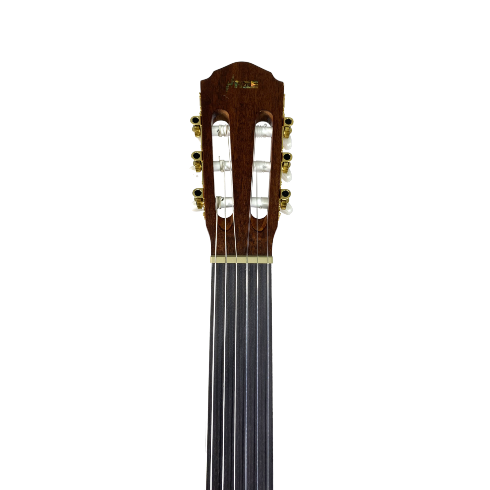 Haze C551BCEQSMFL Solid Top Fretless Arched Back Classical Guitar - Matte