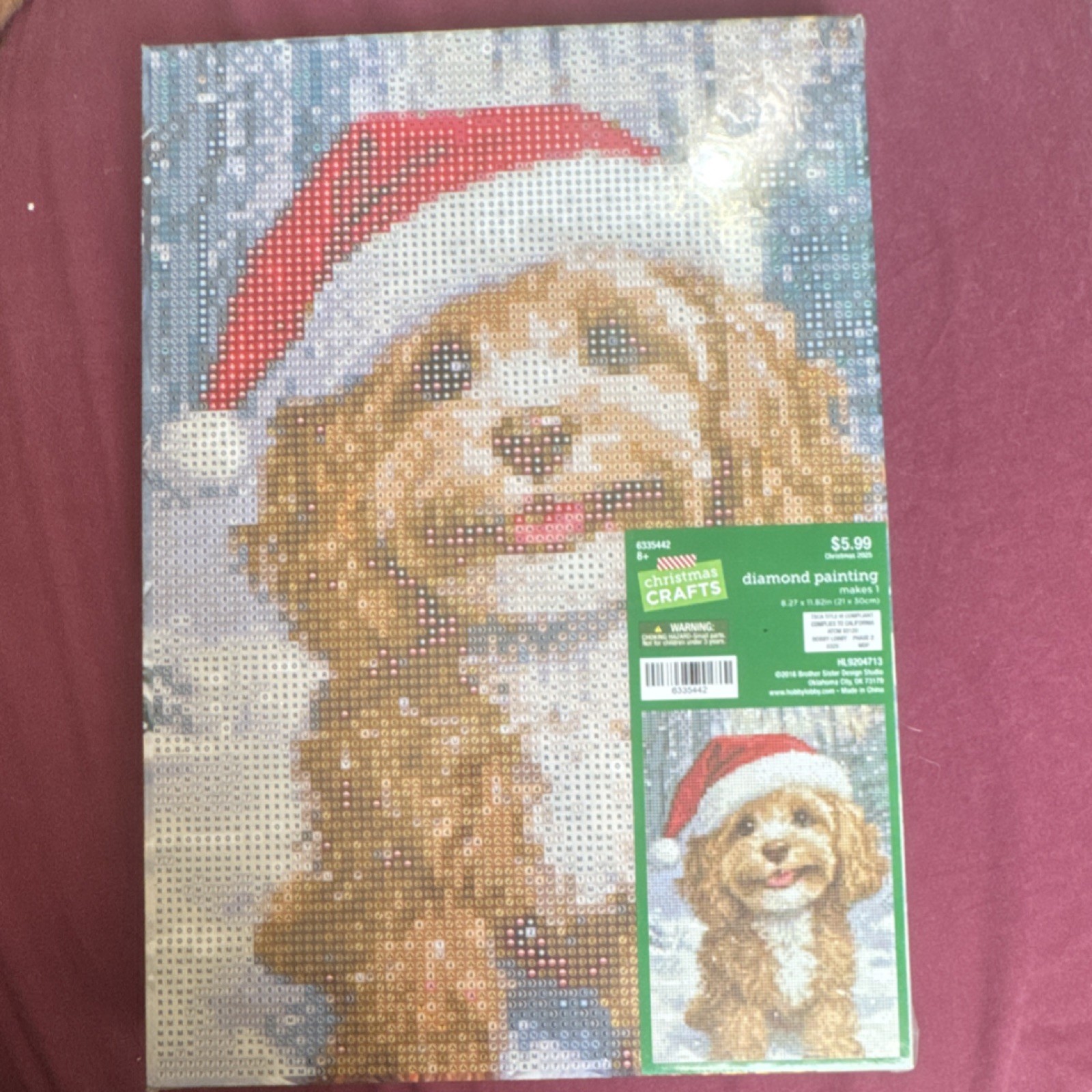 Christmas Crafts Diamond Painting Kit Dog with Santa Hat HL9204713