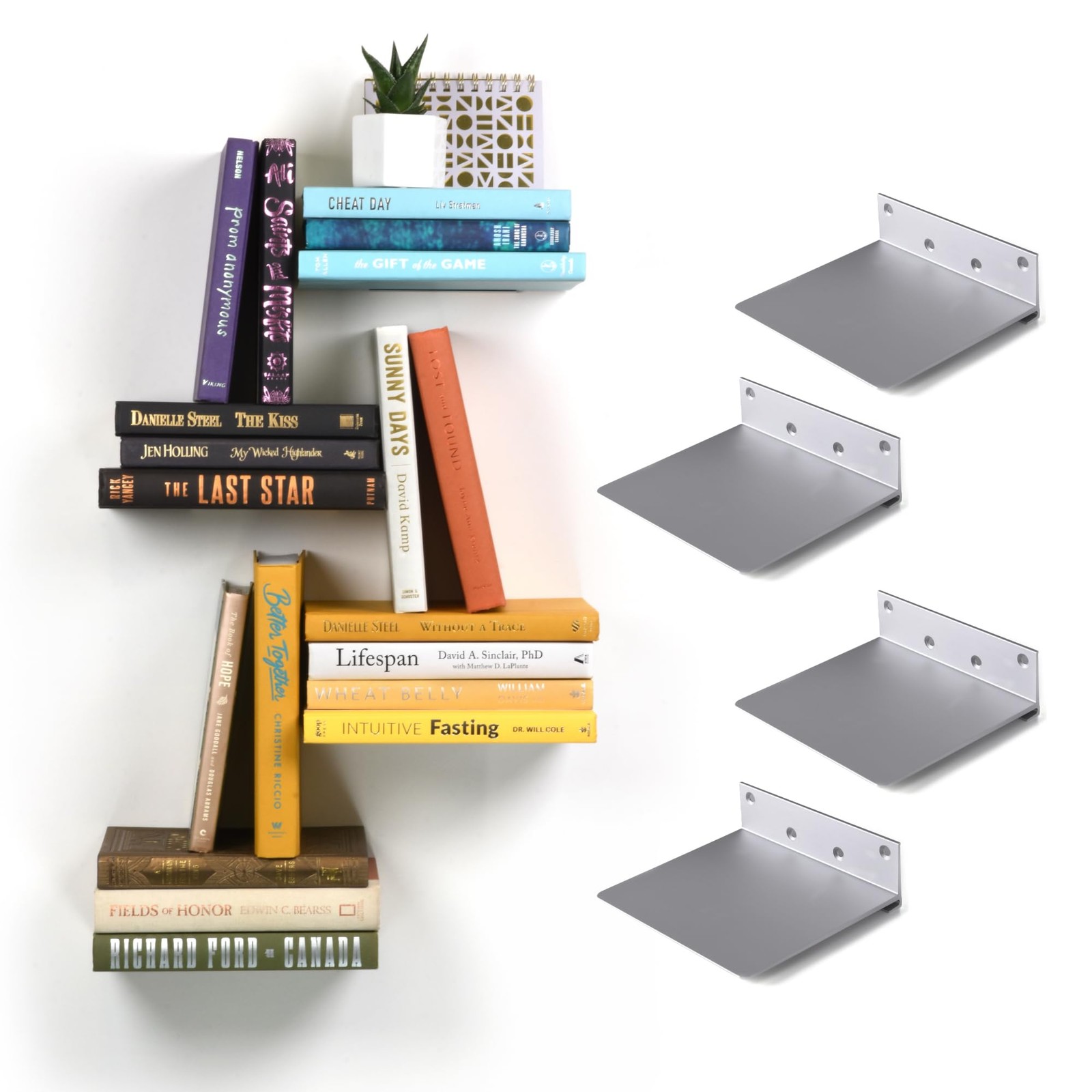Floating Invisible Bookshelf Wall Mounted (Set of 4) - Aluminum - Turn Books ...
