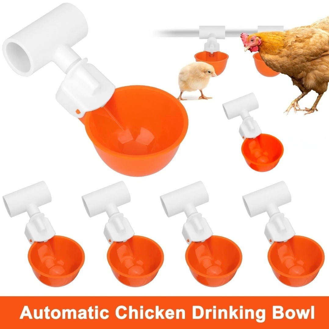 6PCS Chicken Automatic Watering Cups Kit Poultry Drinker Waterer for Duck Quail