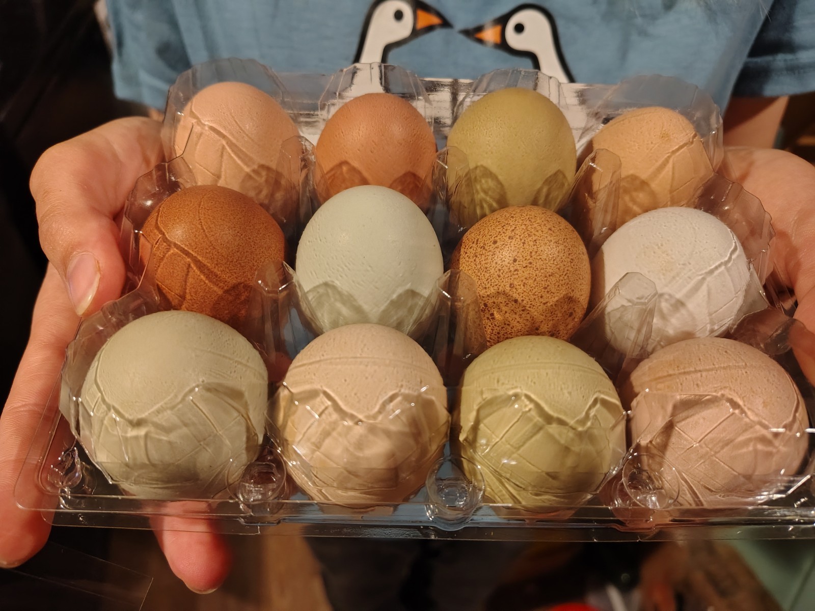 Assorted Rainbow Chicken Hatching Eggs (Assorted Colors)