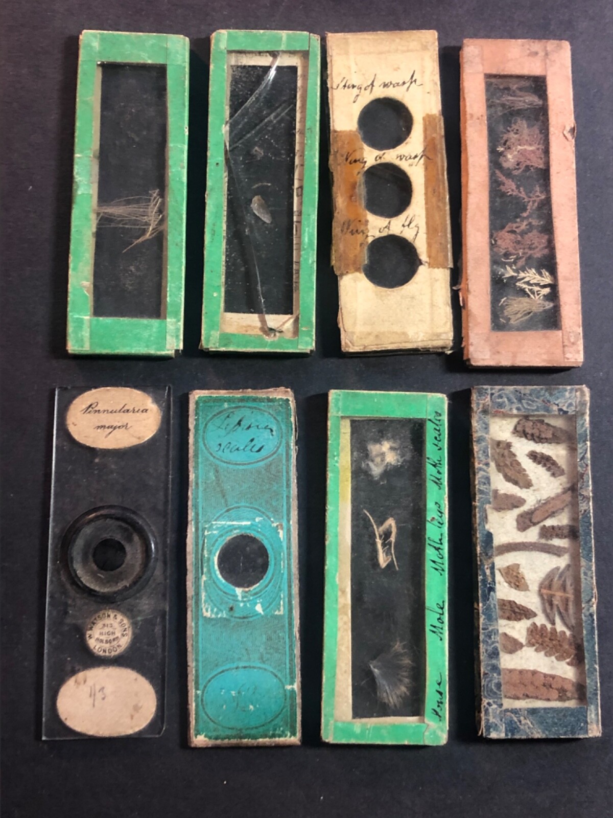 Antique Microscope slides x 8 ,1860/80
