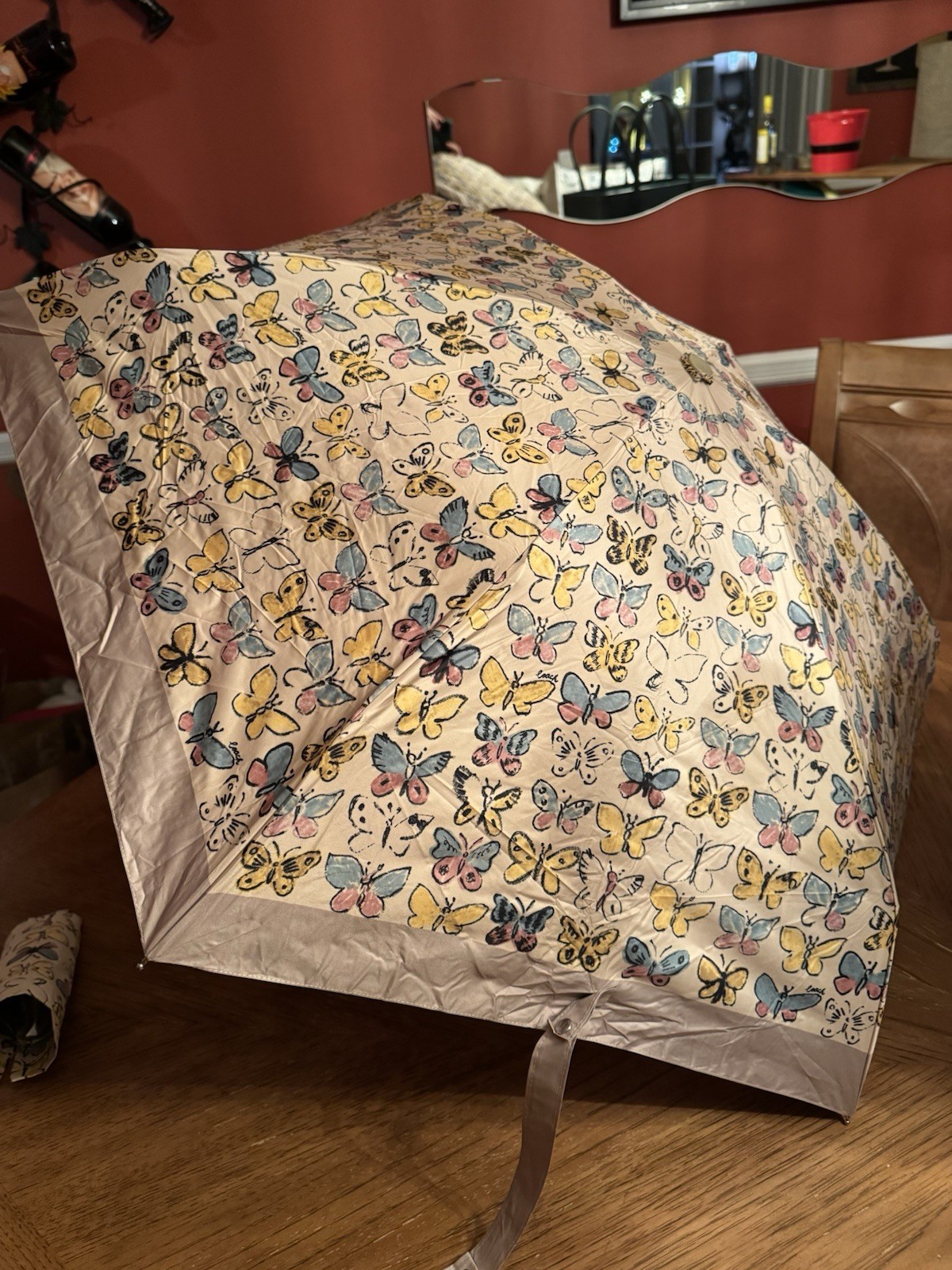 Coach Butterfly Umbrella