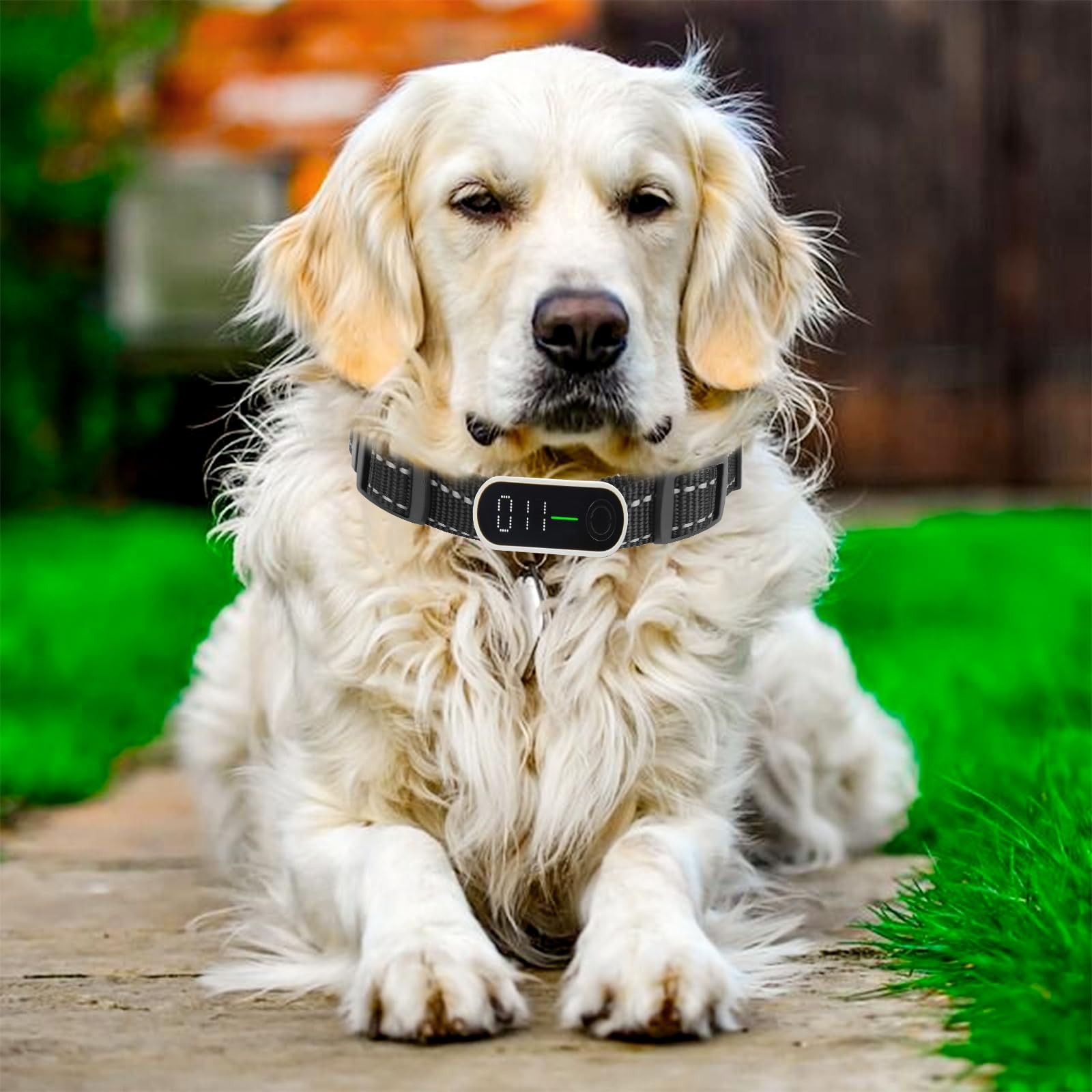 2 Pack Replacement Collar for Dog Training 10 * 8 * 1.7cm, Black