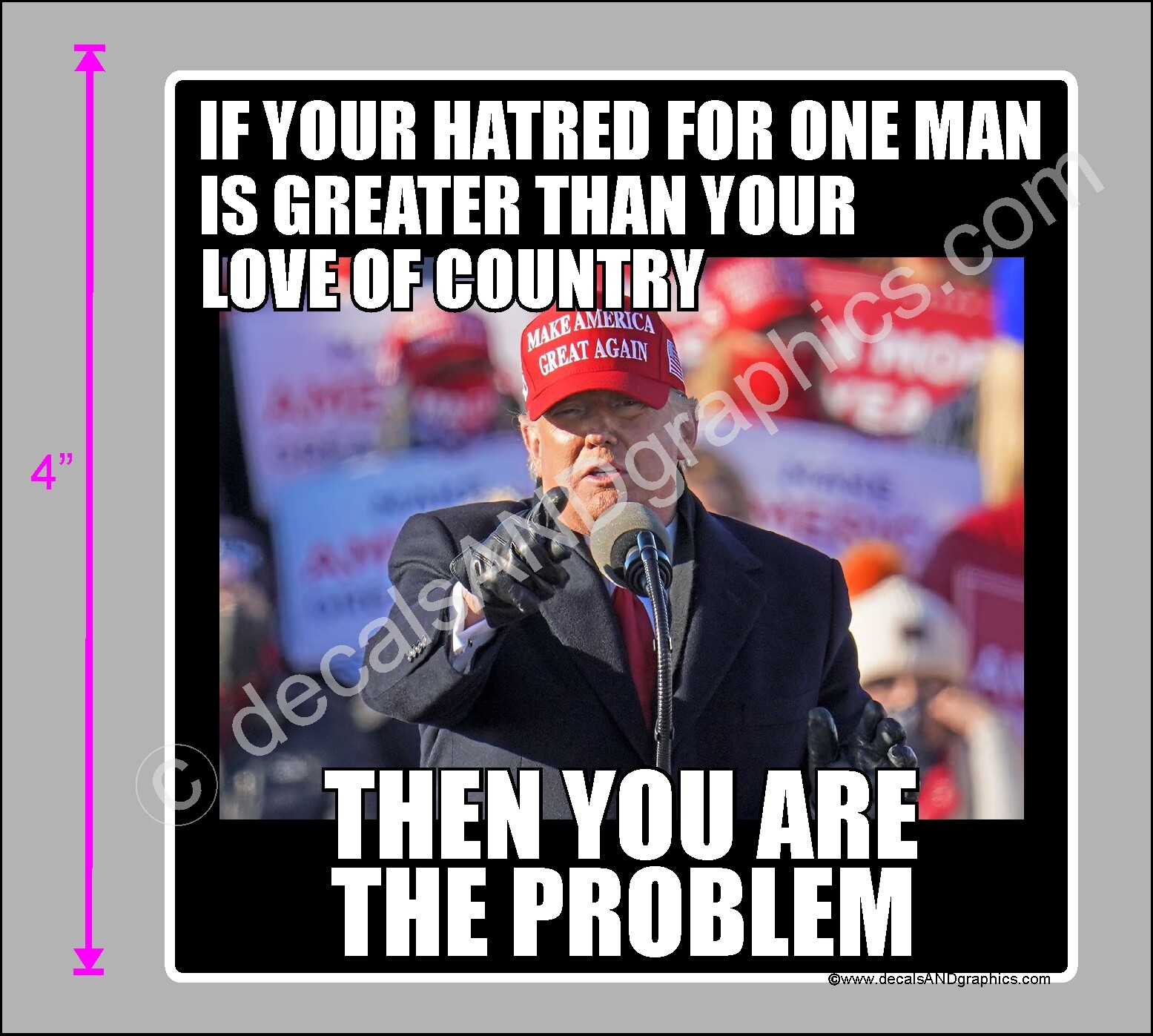 TRUMP 2020 STICKER HATRED FOR ONE MAN ANTI DEMOCRAT DECAL WINDOW BUMPER