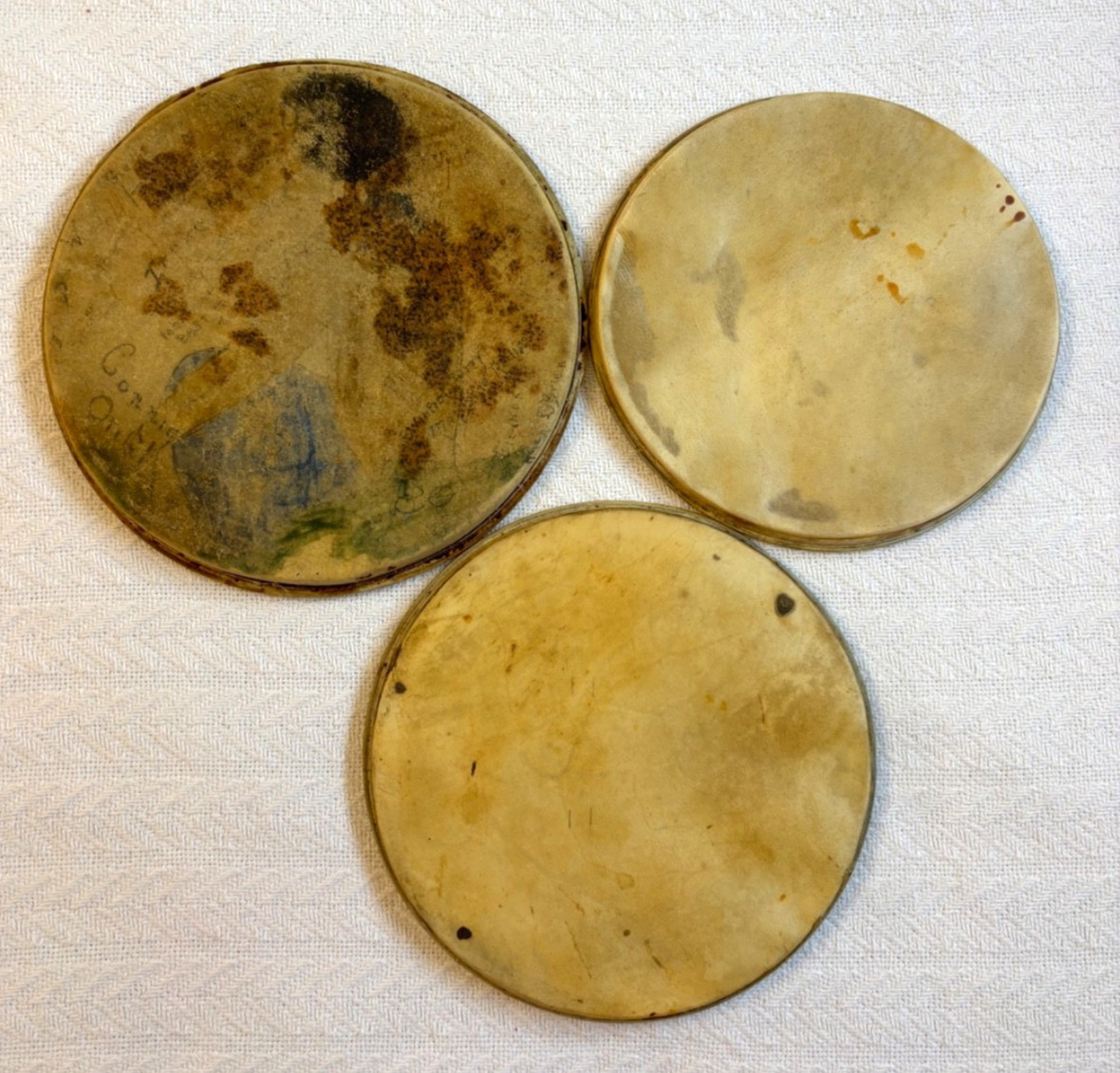 Lot of Three Vintage Ukulele Banjo Heads With Flesh Hoops Intact Signatures