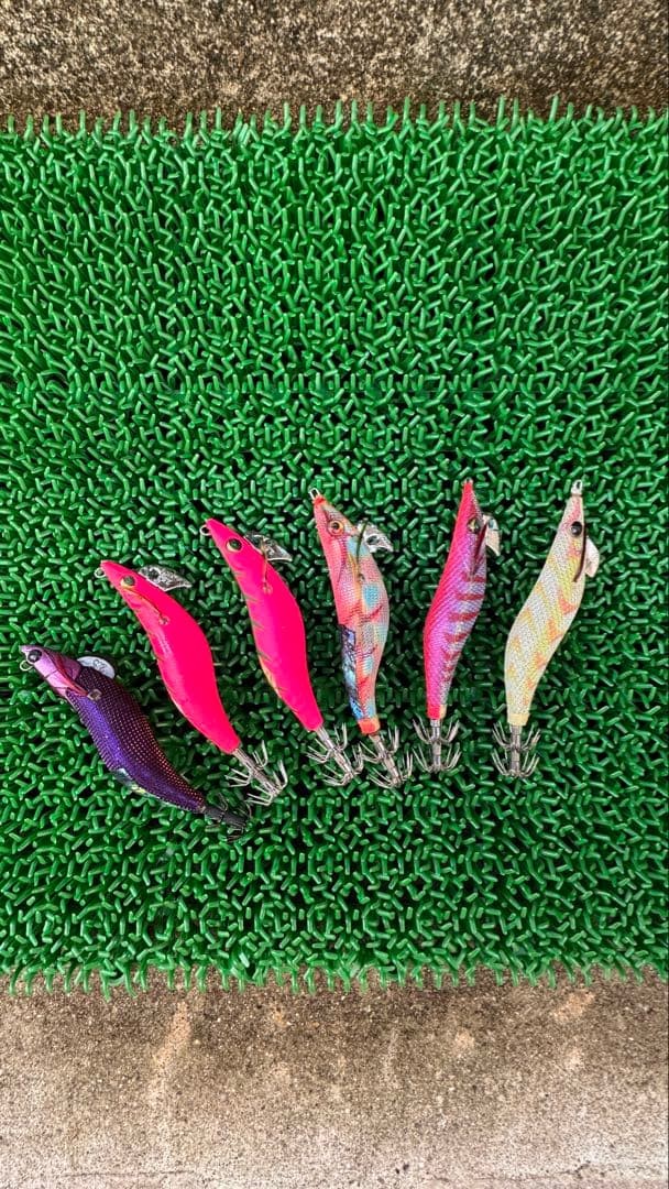 Daiwa Egi Squid Jig 2.5 Size Assorted Set of 6 japan