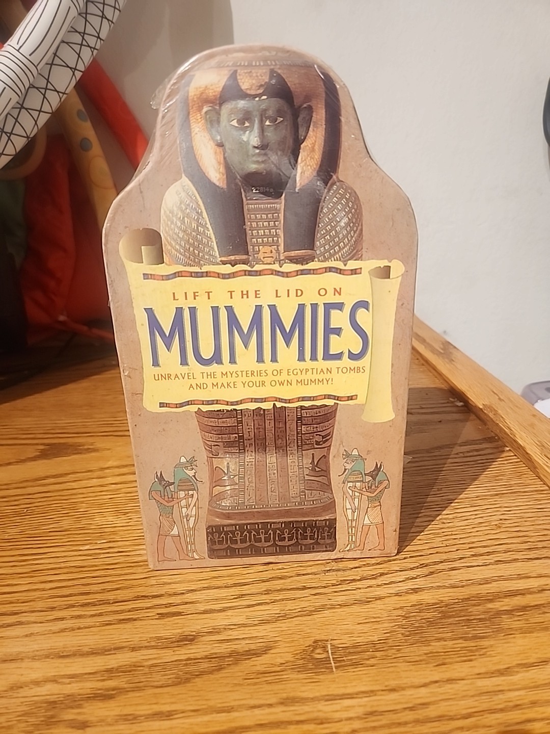 Lift the Lid on Mummies/ Educational Toy With Crack On Both Pieces brand new