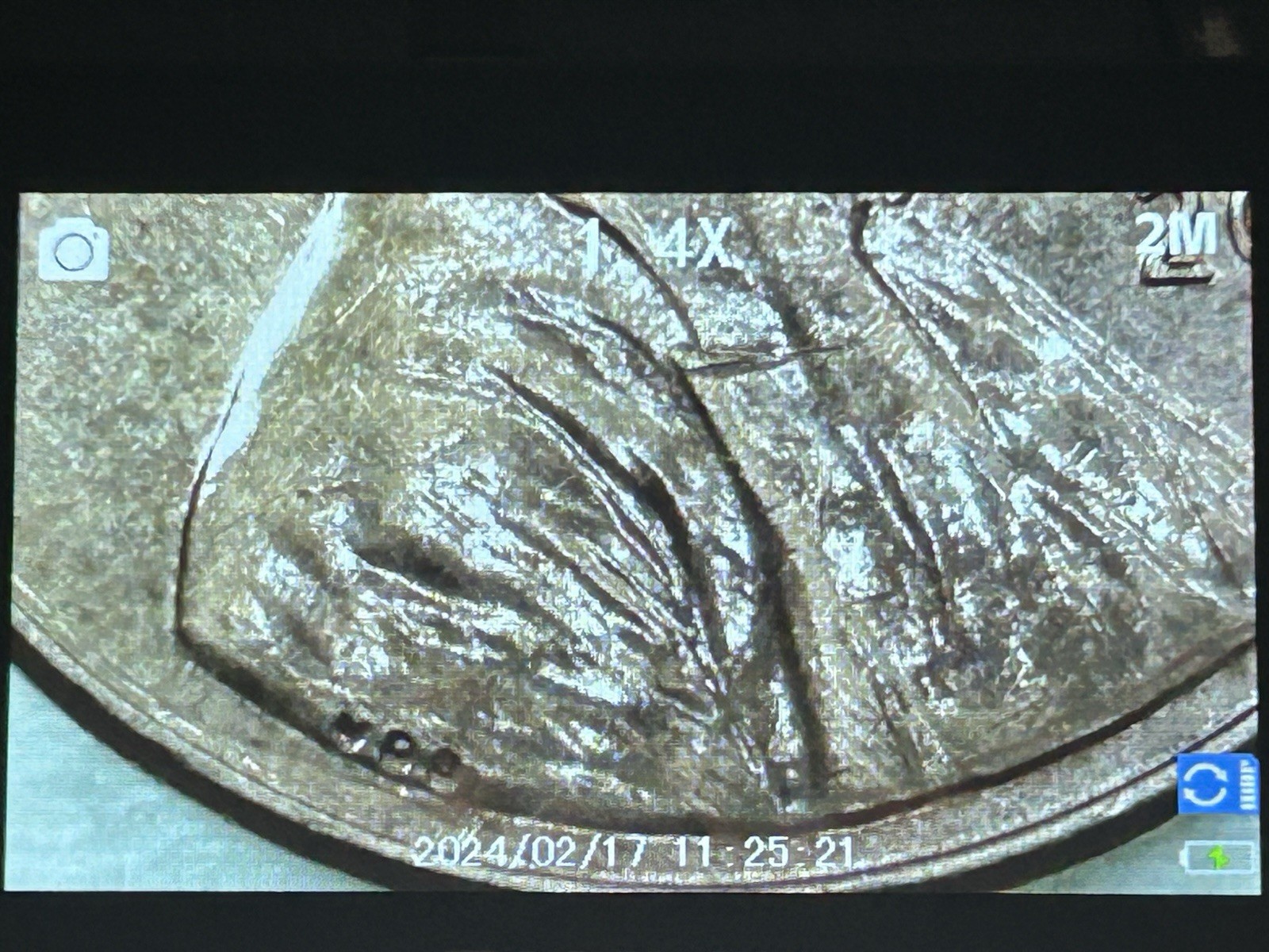 2014 Lincoln Shield Cent ￼Tilt Strike, Orange Peel Surface, DDO&R, AU ￼