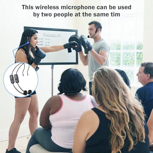Wireless Microphone Headset Double Professional: Cordless Mic Head for Black1