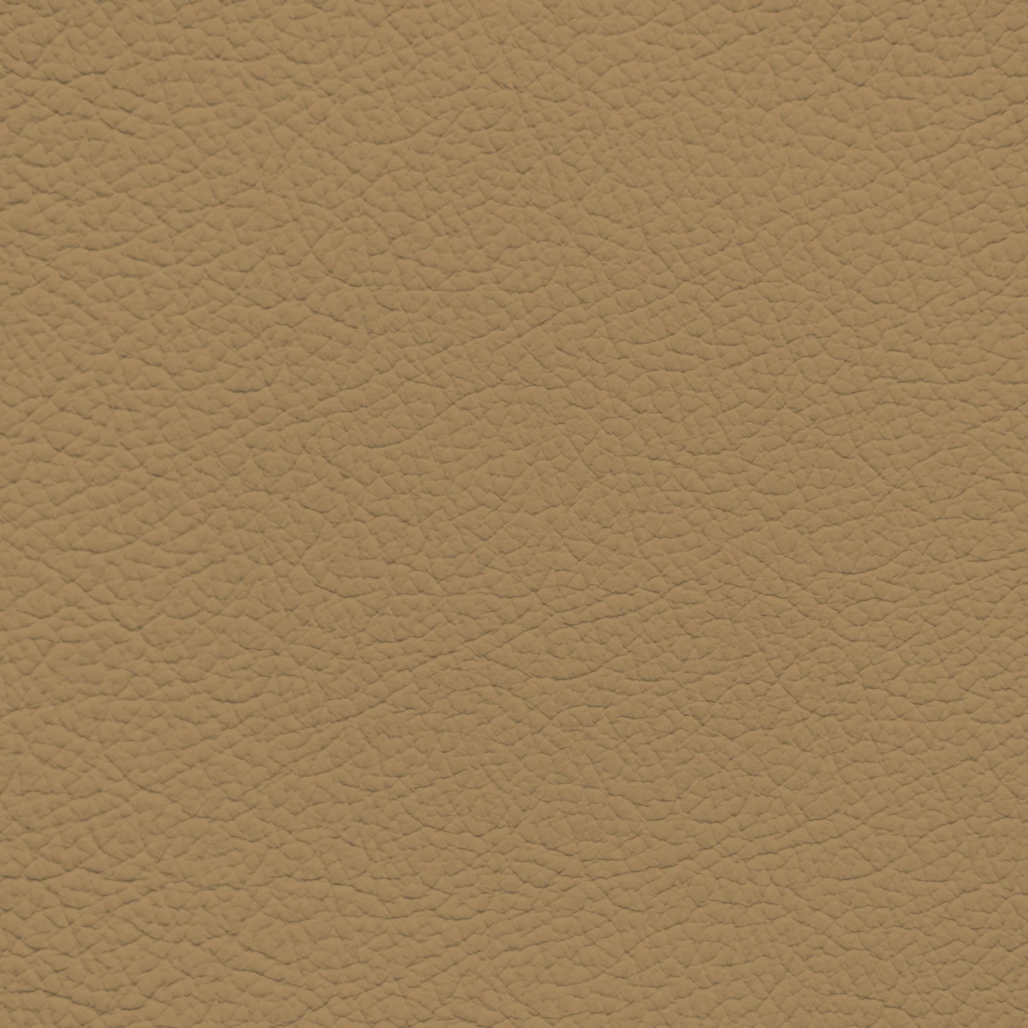 Jaguar Coffee Leather Dye