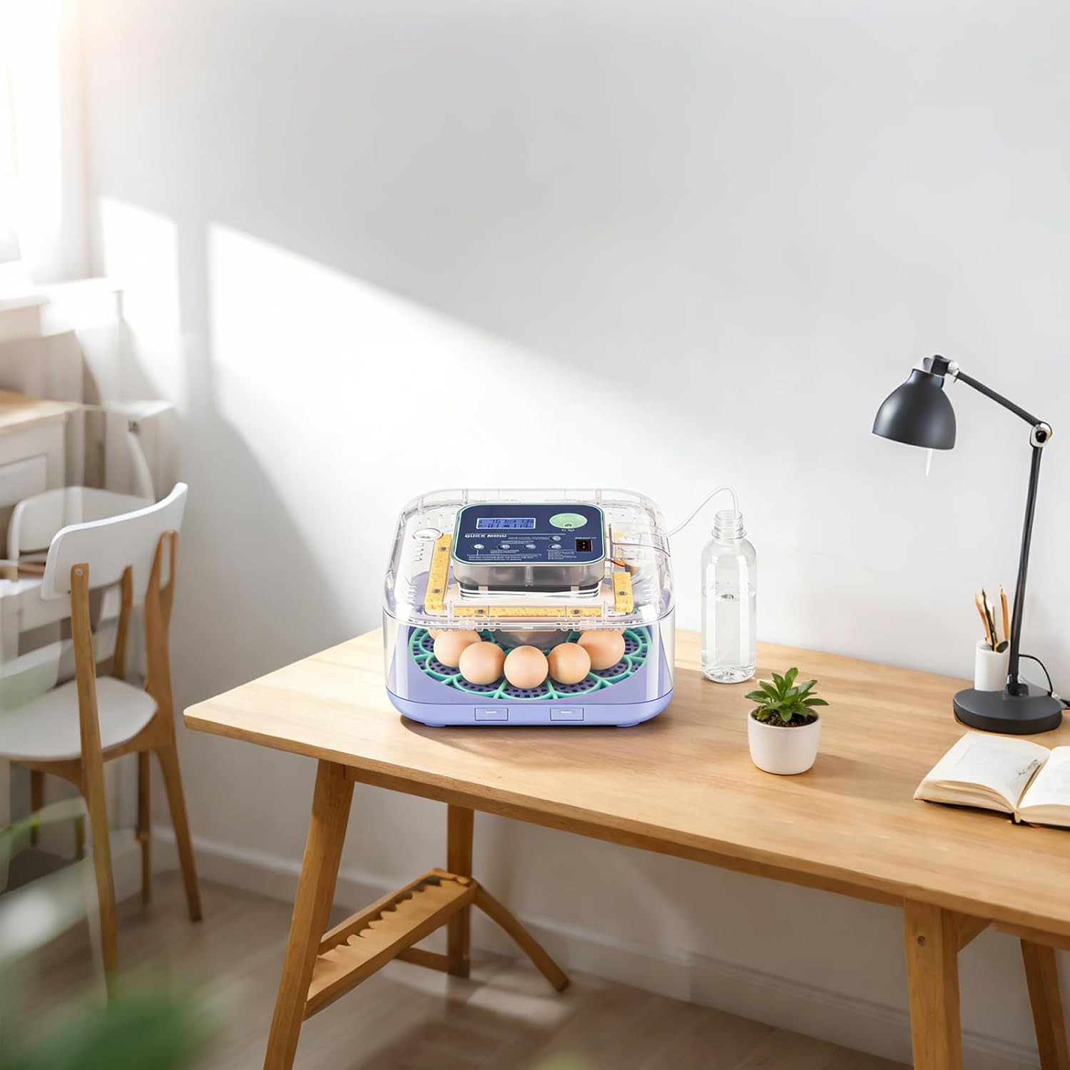Incubators for Hatching Eggs, 12-24 Egg Digital Incubator with Smart Temperature
