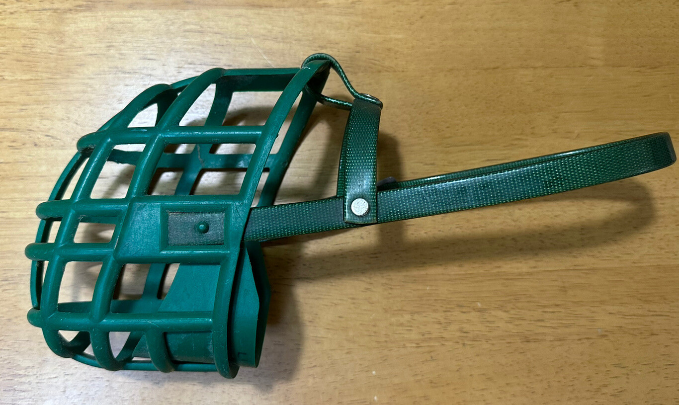 Vintage Racing Greyhound Muzzle 1990s Track Used Gulf Greyhound Park Era Rescue