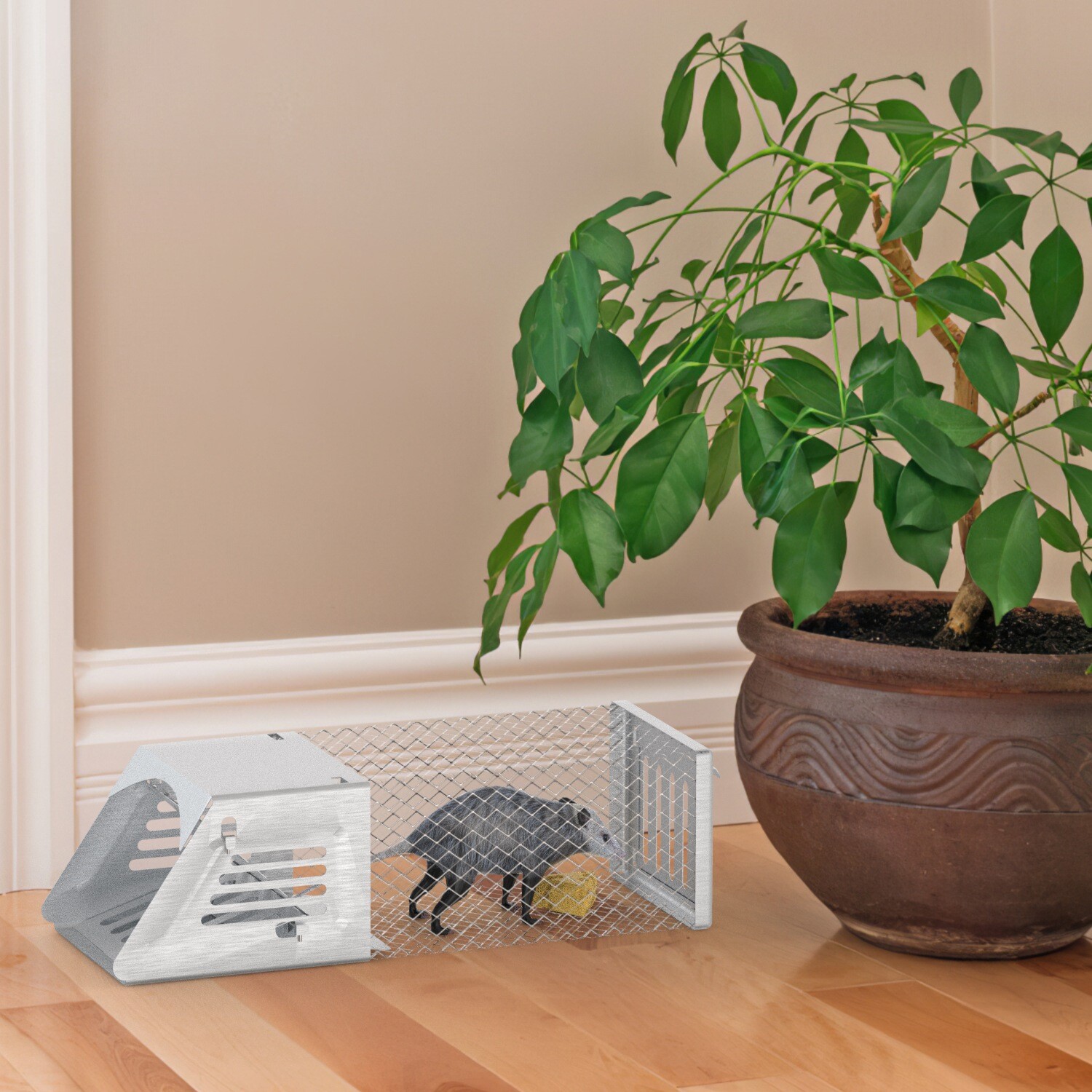 2 Pack Humane Mouse Traps Live Catch and Release Reusable Galvanized Iron Cages