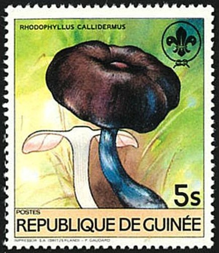 Guinea 1984 Perforated Stamps Fauna & Flora Series No. 1019 - 1