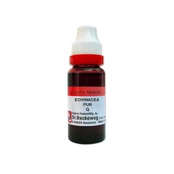 Dr. Reckeweg Germany Homeopathy Echinacea Purpurea 1X Mother Tincture Q (20ml)