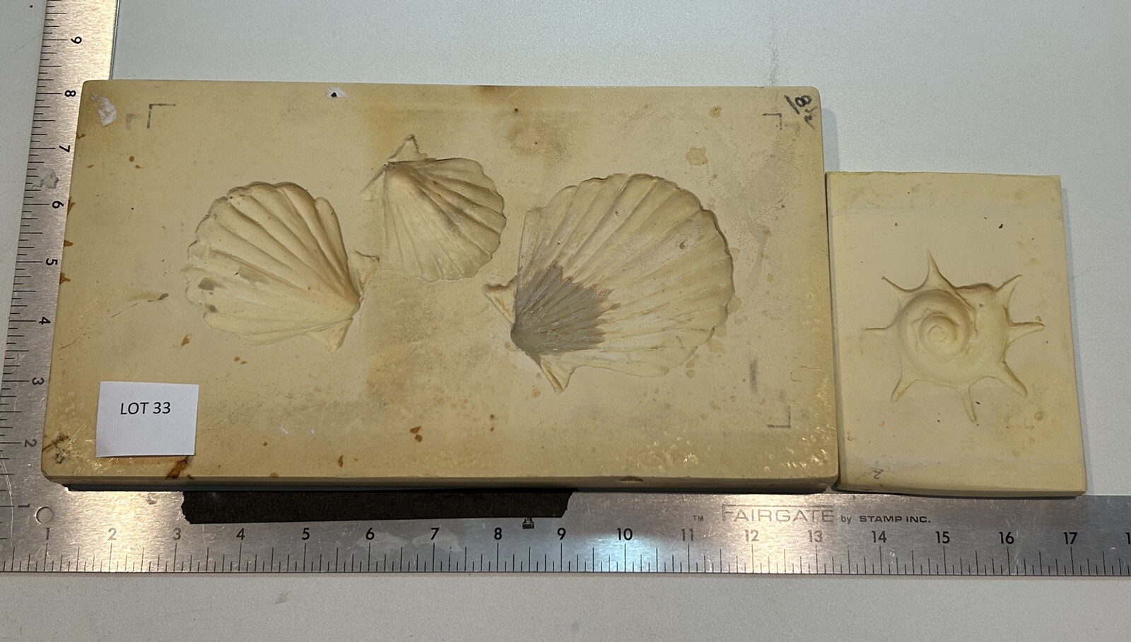 Shells Paper Casting Molds, air clay and paper clay mold #33