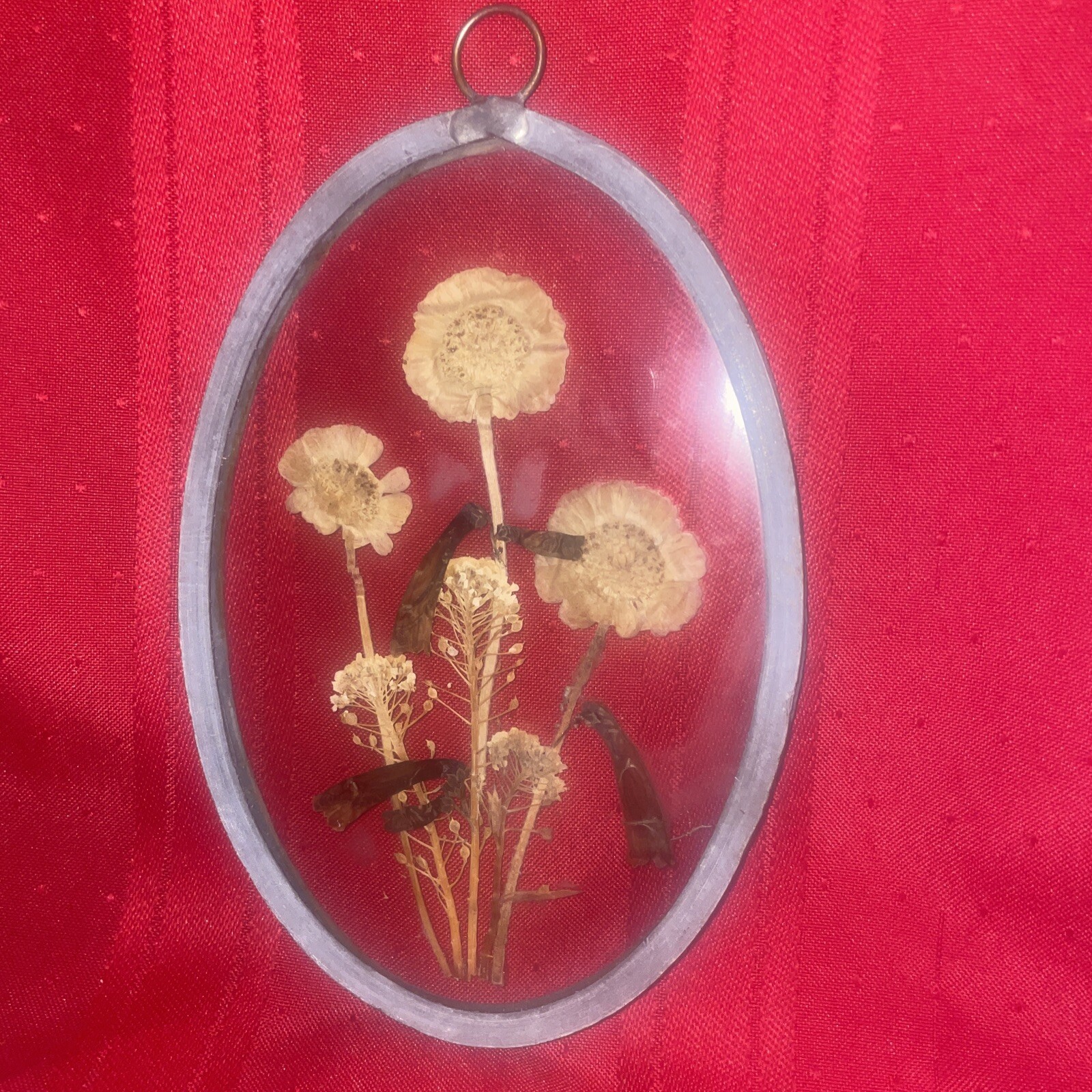 Lasting Impressions Glass Framed Dried Flowers Wall Decor Suncatcher 7” tall
