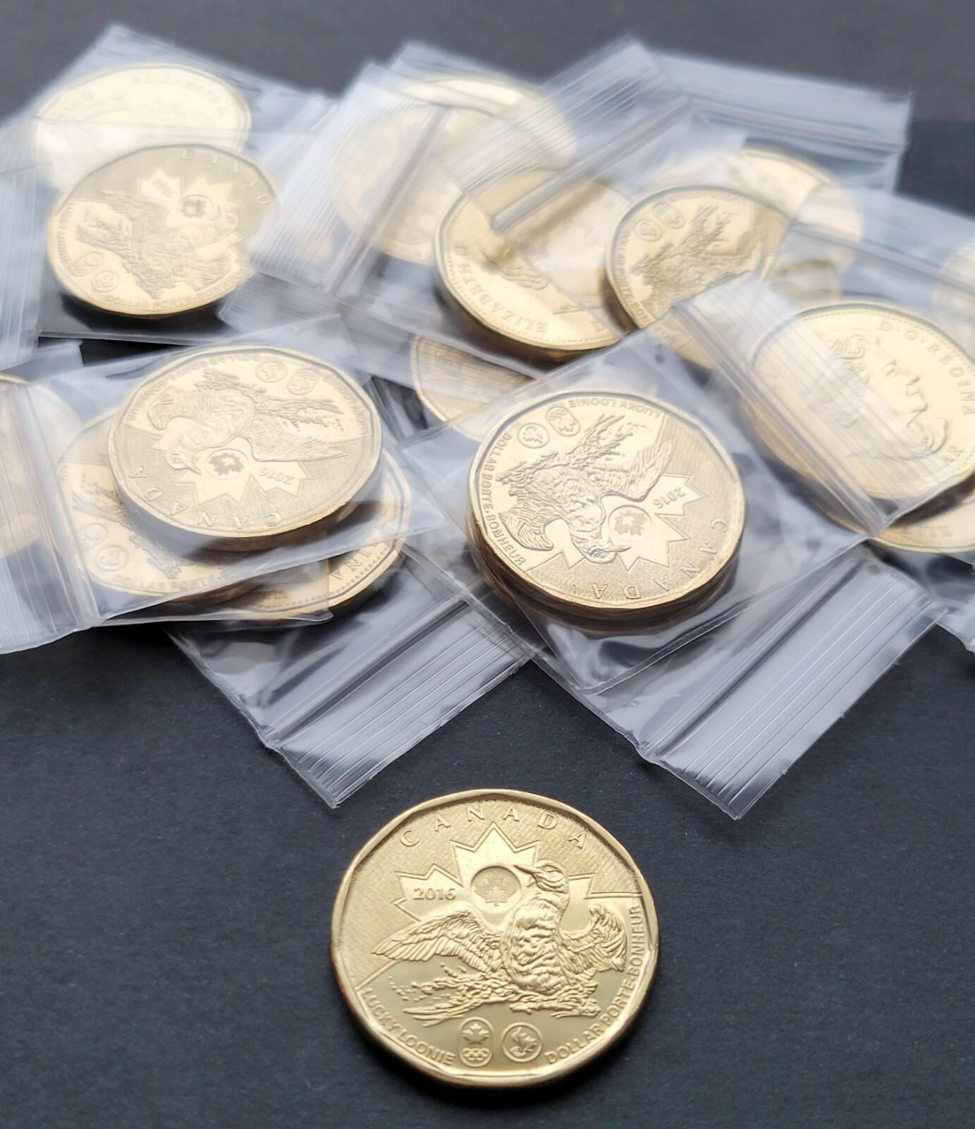***  CANADA  LUCKY  LOONIE  2016  ***  FROM  MINT  ROLL  ***