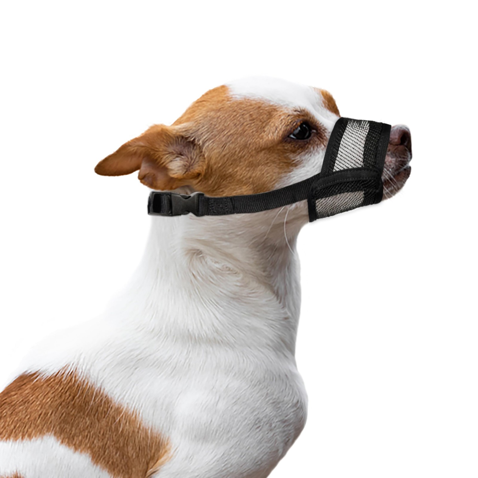 Dog Muzzle For Small Dogs Soft Air Mesh Breathable Prevent Biting XS Size