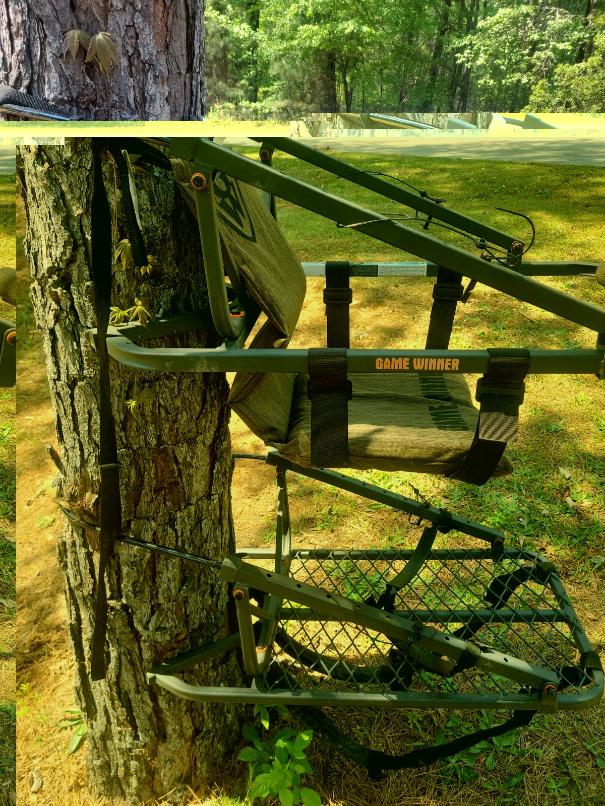 climbing tree stands hunting