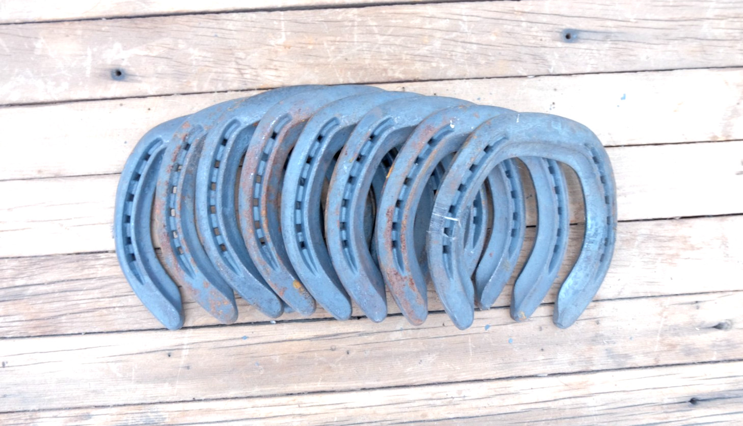 8 Horseshoe Cowboy Project Western Art Decor- Hind #2's