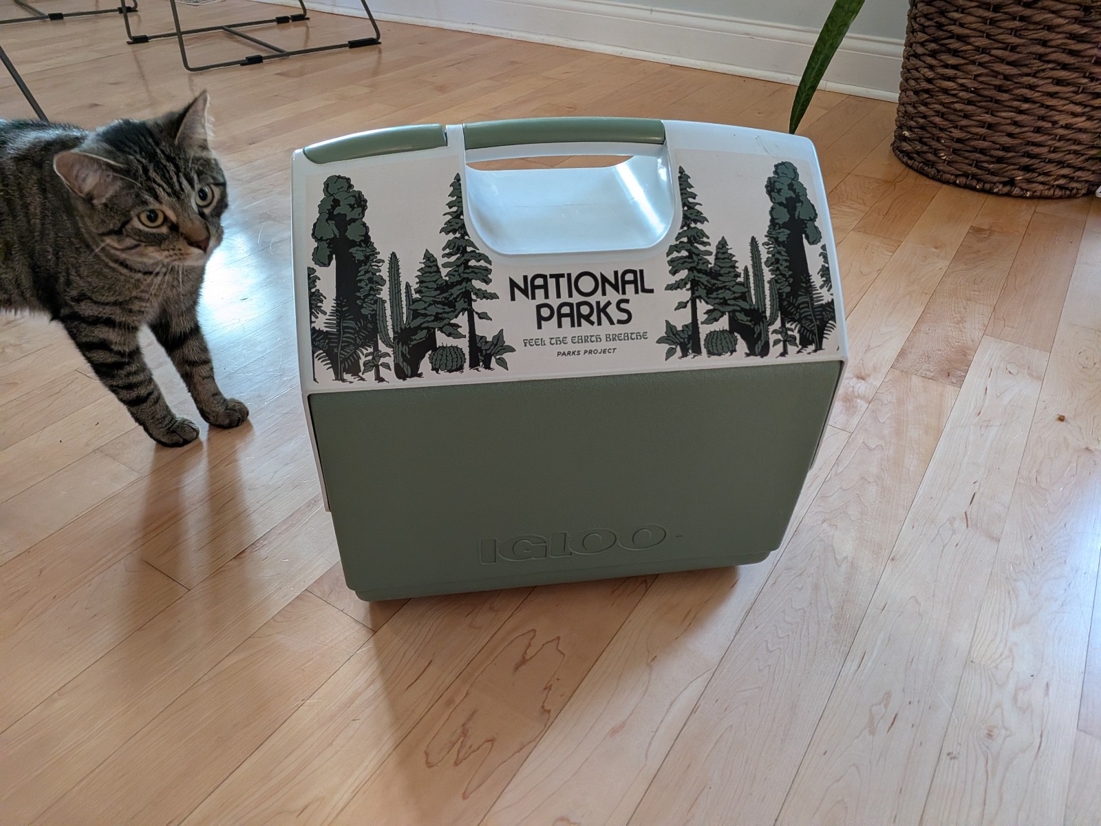 National Parks Project 16 Qt Igloo Playmate Elite Cooler Limited Edition