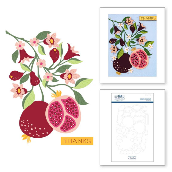 Spellbinders - Blooming Pomegranate - DOML-AUG23