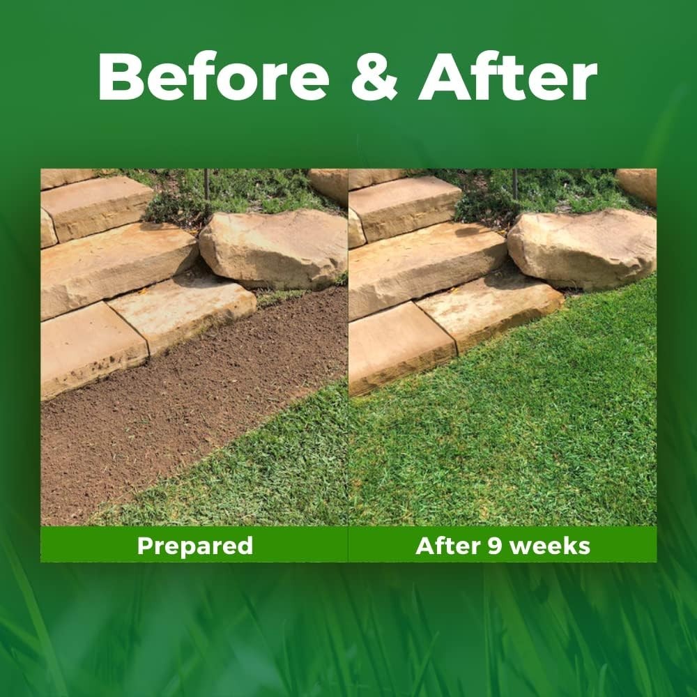 Sustainable Green Grass Seed Mat - -Round Solution for Drought Resistance