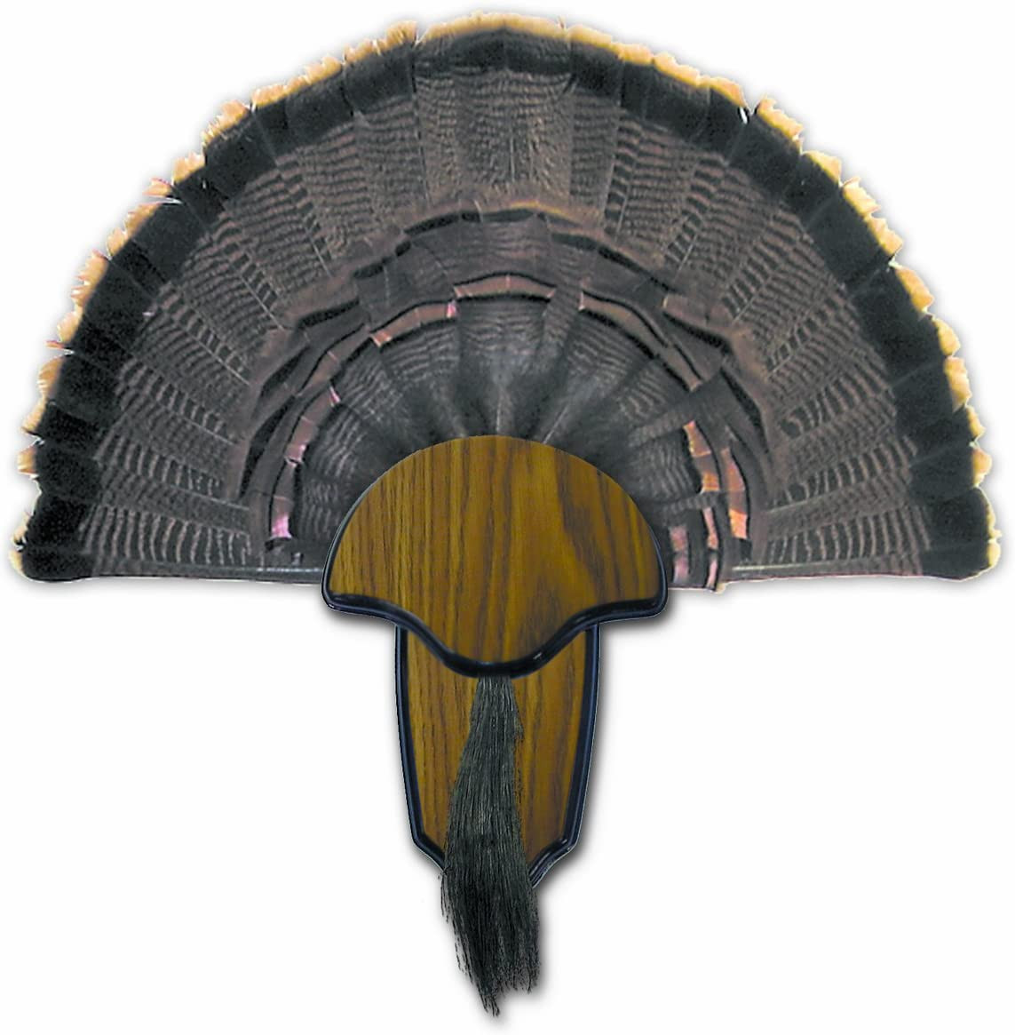 HUNTERS SPECIALTIES Strut Turkey Tail & Beard Mounting Kit - Durable Easy to Ass