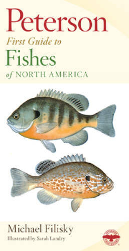 Peterson First Guide to Fishes of North America - Paperback - GOOD