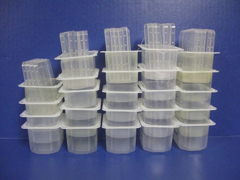 24 Gerber Baby Food Plastic Containers Boxes & Lids Crafts Storage