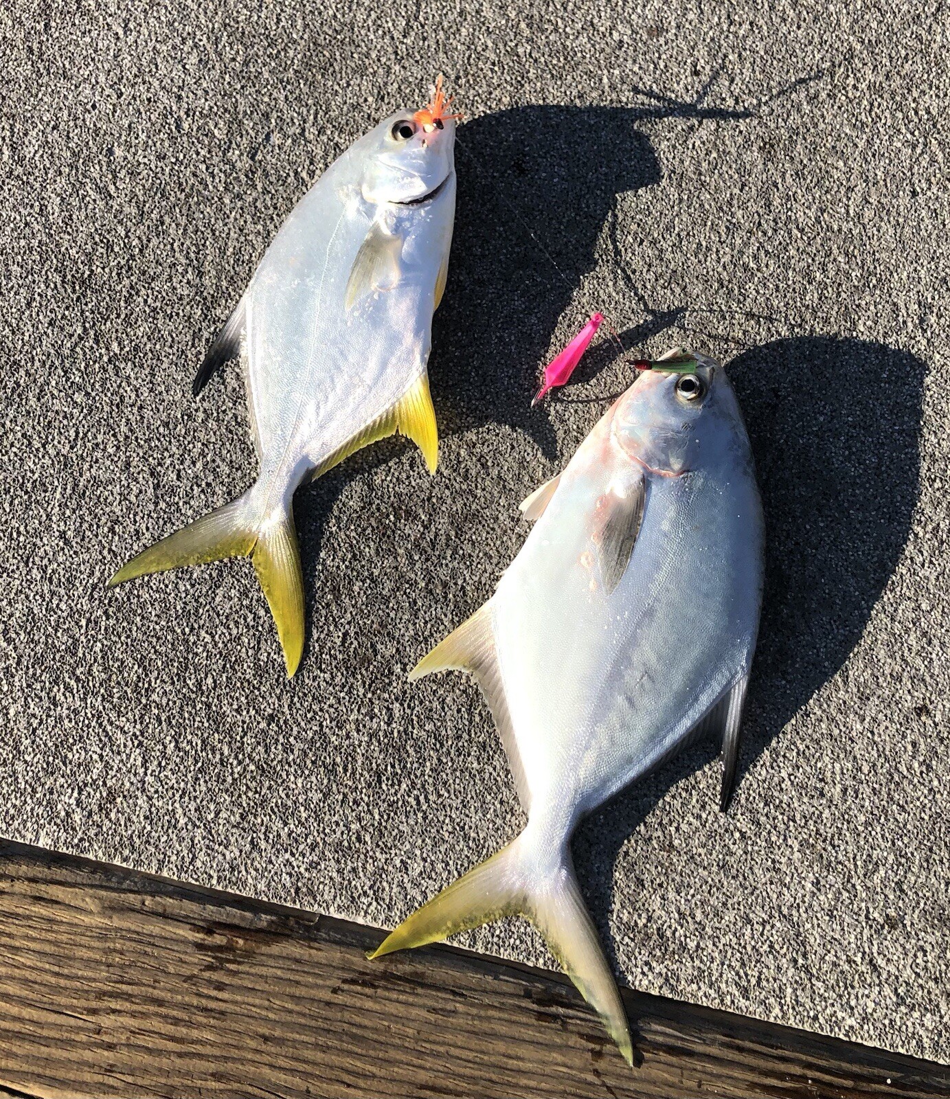 15 light Orange Pompano Jig Teasers. Hook Size 2/0