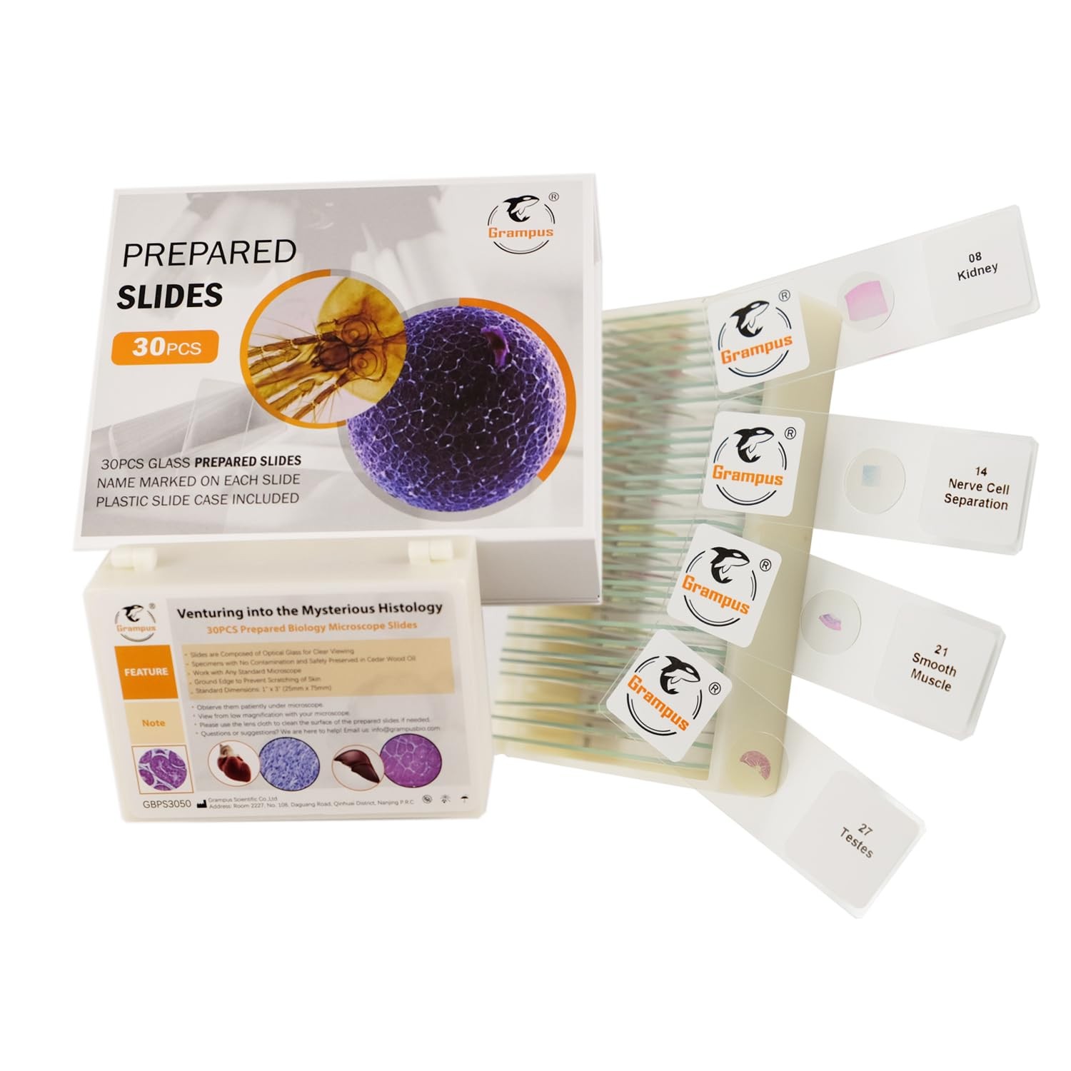 30 Prepared Microscope Slides with Specimens for Students - Histology, for Bi...