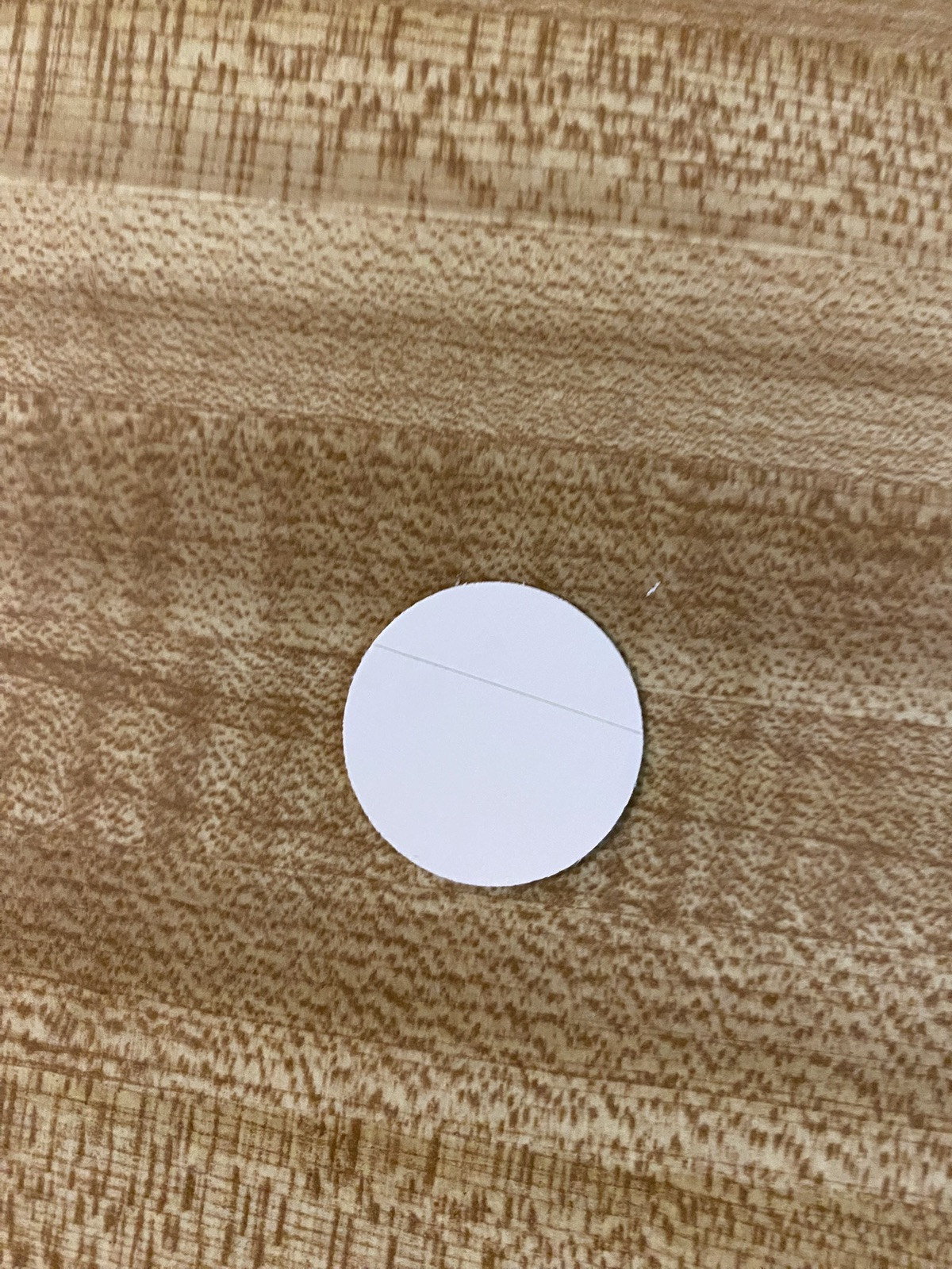 Buc-ee's Beaver Stickers 3 different Sizes
