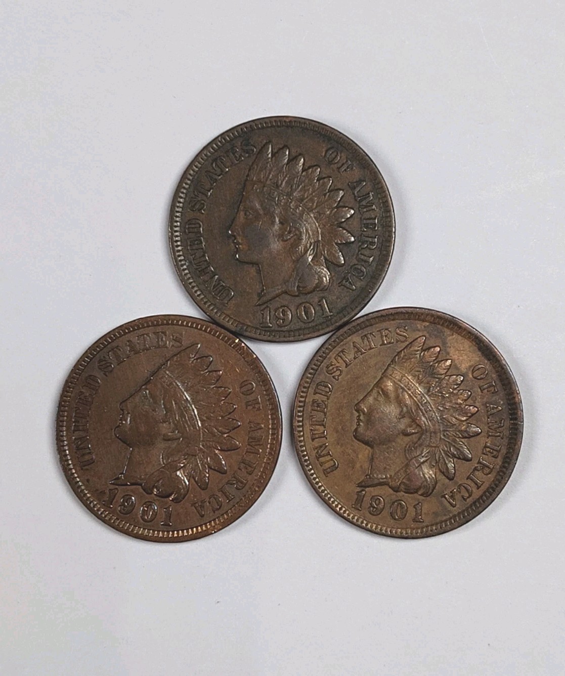 Lot of 3 1901 Indian Head Cents - Rich Red Brown -Some Toning VF