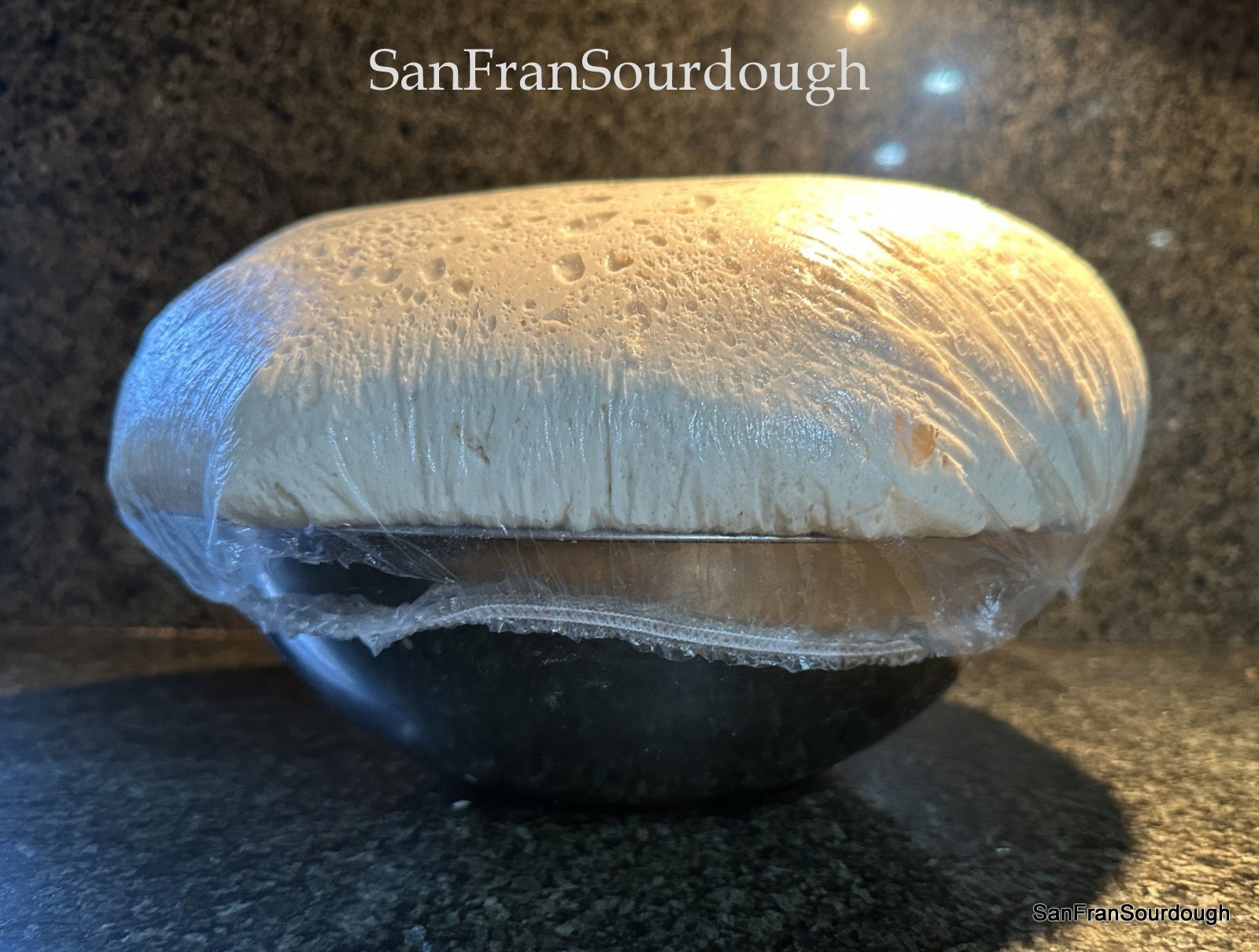 San Francisco style Sourdough Starter Tangy Sour Delicious