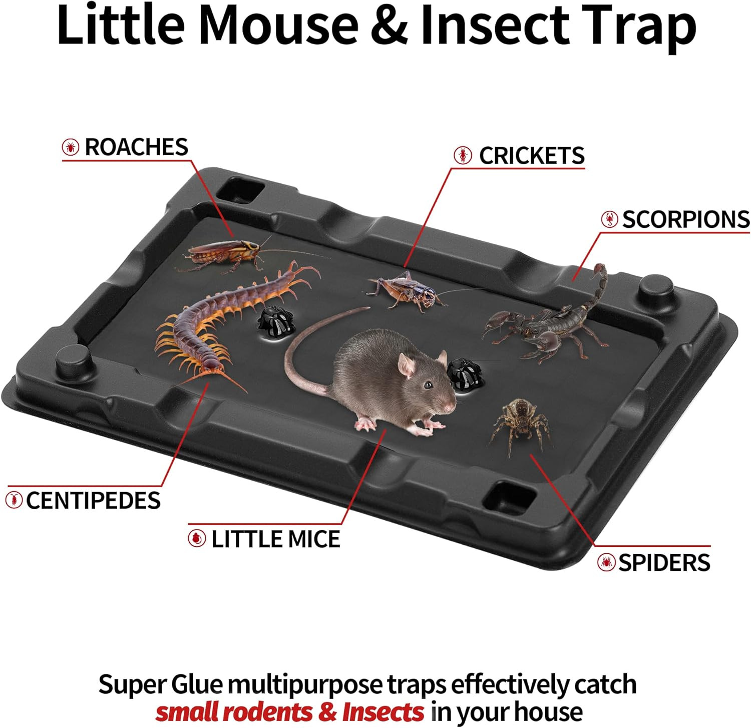 Mouse & Insect Traps 12 Pack, Heavier Sticky Traps with Non-Toxic Glue for Small