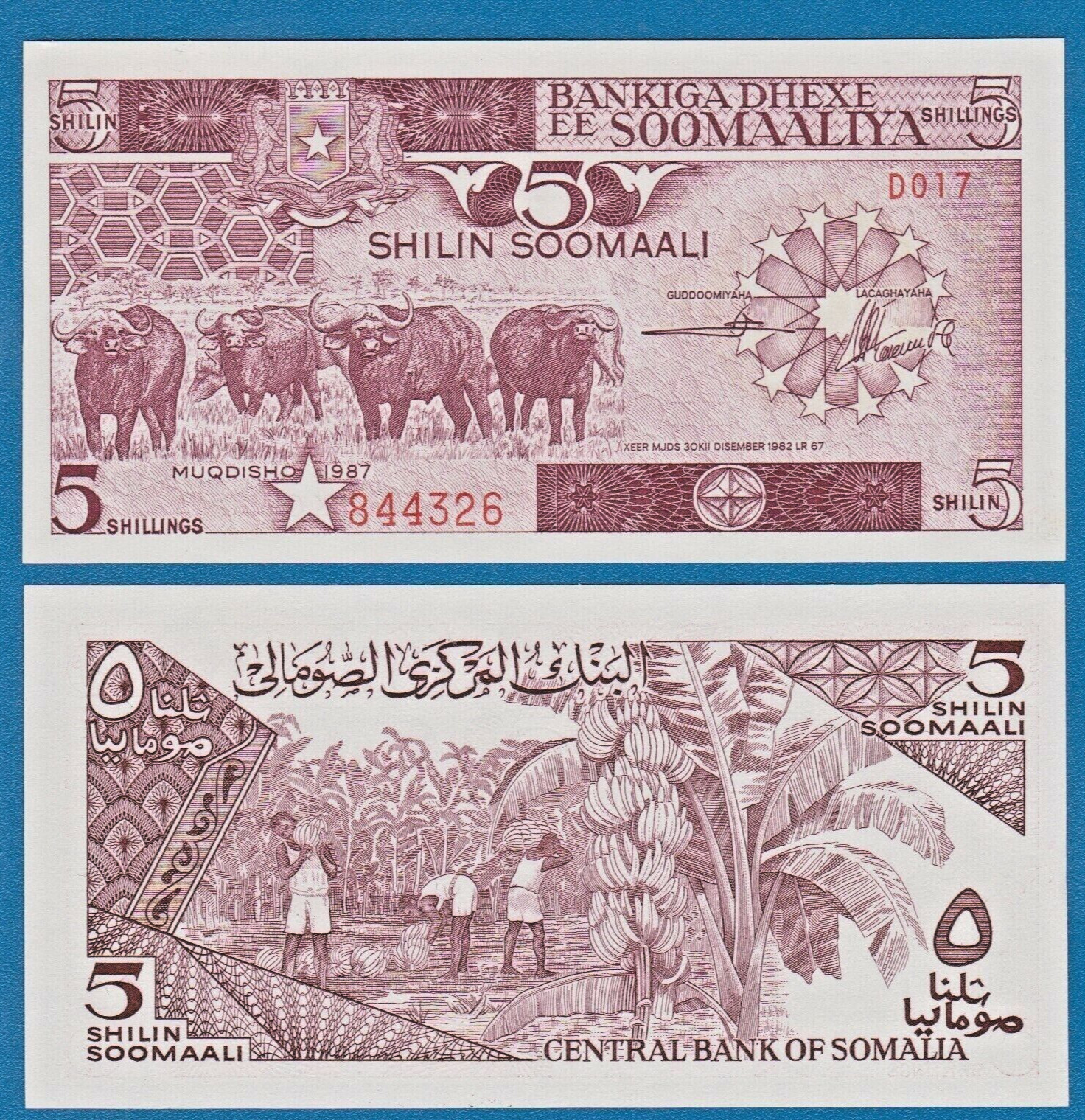 SOMALIA 5 SHILLINGS  1987 UNC (P31c)