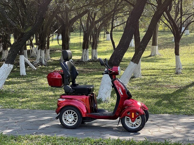 1000W Heavy Duty 4-Wheel Mobility Scooters for Seniors & Adult 500lbs Capacity